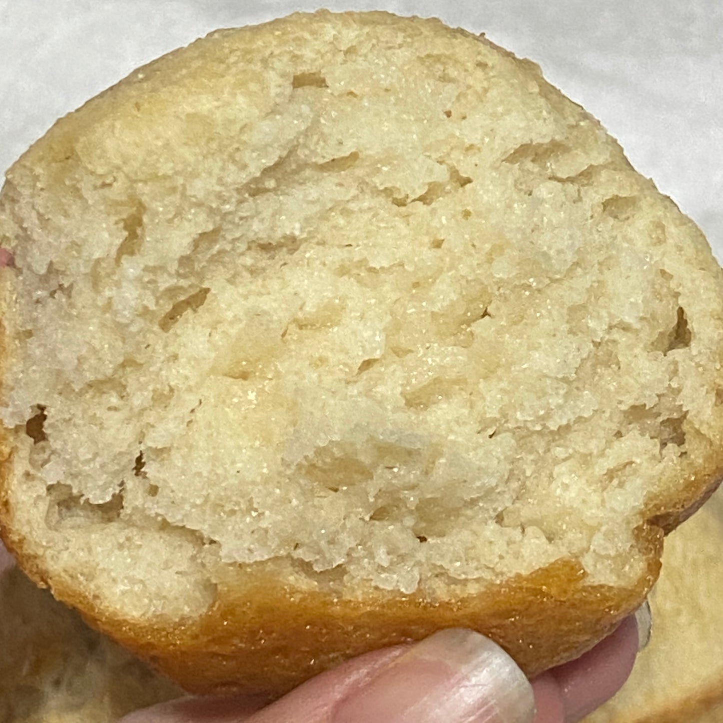 Sourdough Dinner Rolls 6 Pack - Gluten-Free Vegan