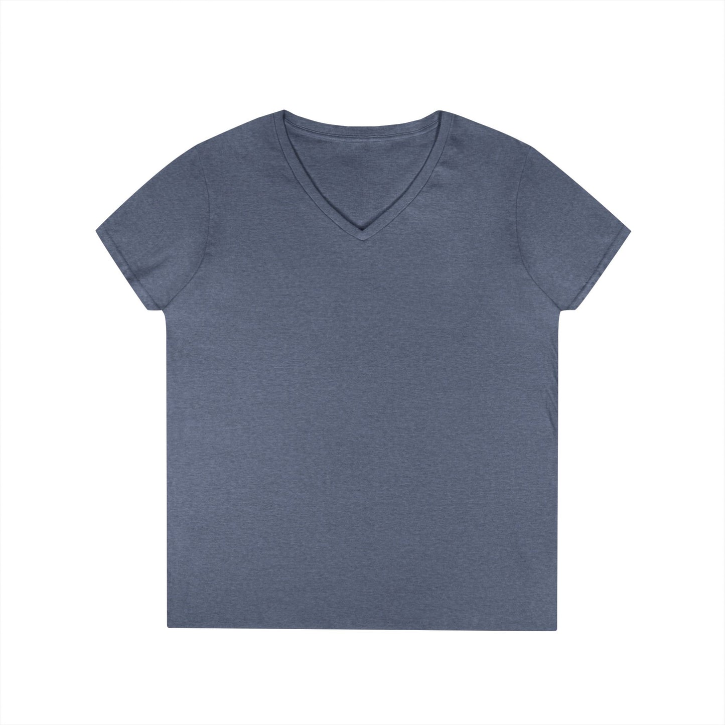 Ladies' V-Neck T-Shirt — Can I Just Read the Label