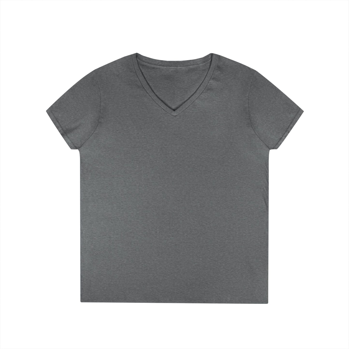 Ladies' V-Neck T-Shirt — Can I Just Read the Label